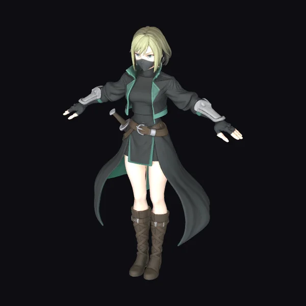 Stealthy Female Warrior