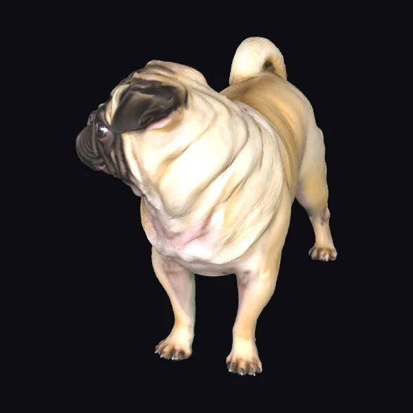 Standing Pug Dog