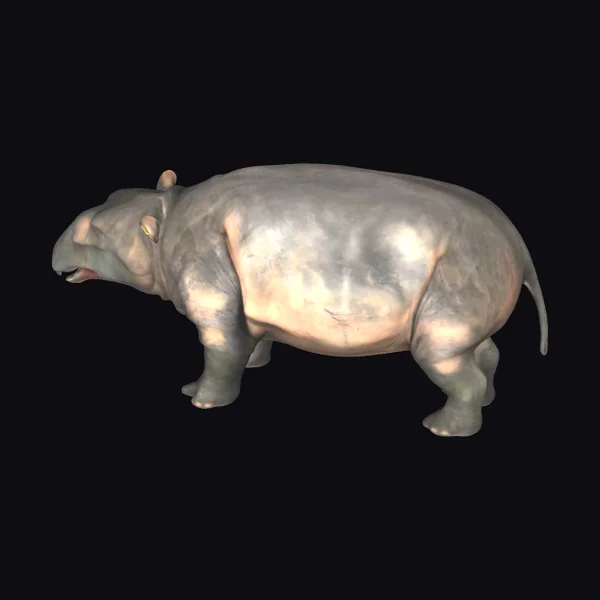 Ancient Large Mammal