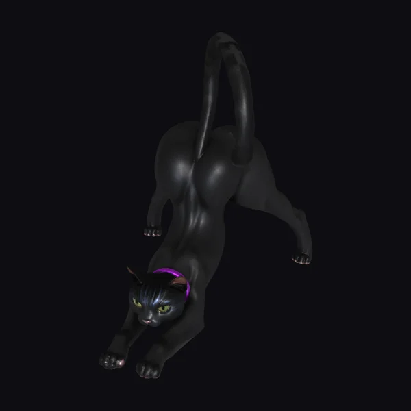 Stretching Black Cat