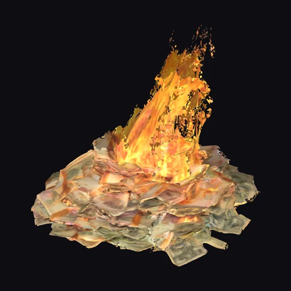 Burning Pile of Currency