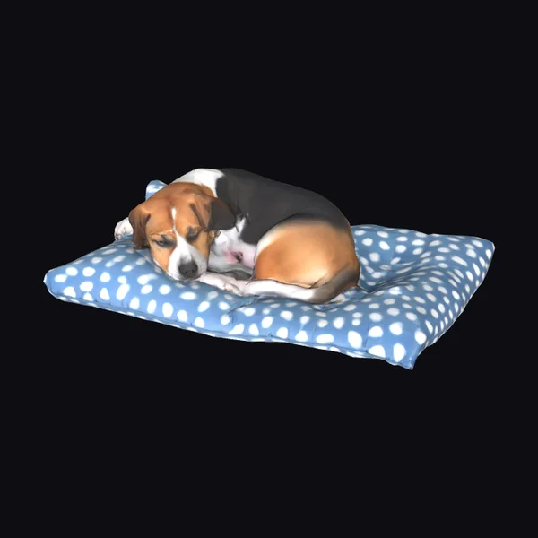 Sleeping Beagle on Pillow