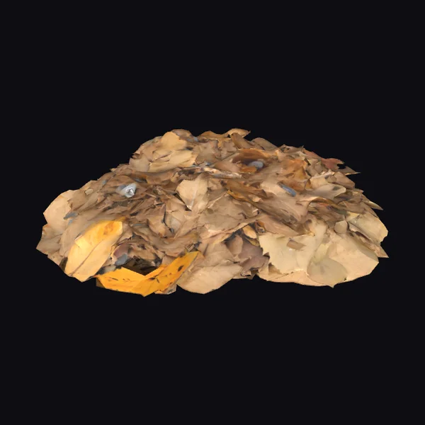 Pile of Dead Leaves