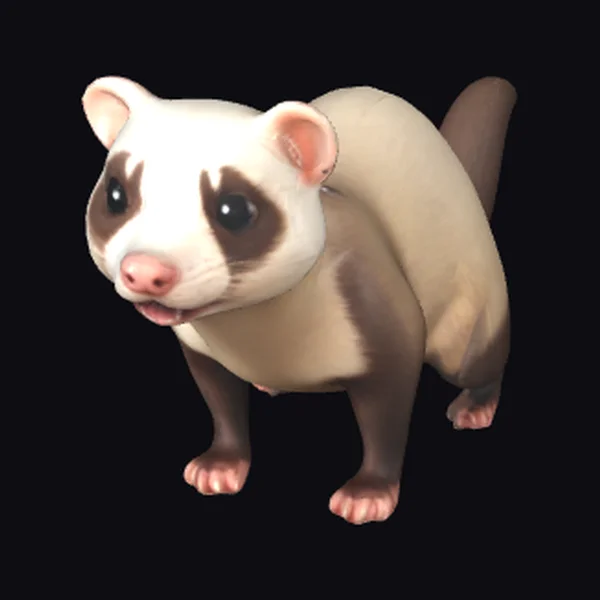 Cartoon Ferret Character