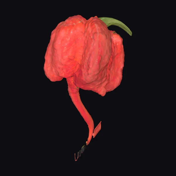 Carolina Reaper Pepper