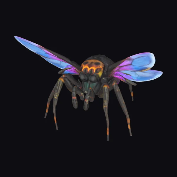 Winged Jumping Spider