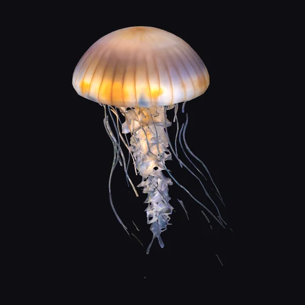 Glowing Jellyfish Creature