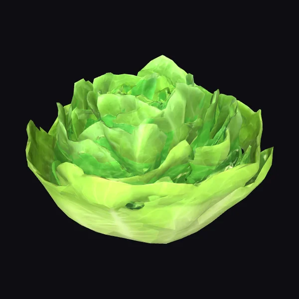 Polygon Style Lettuce