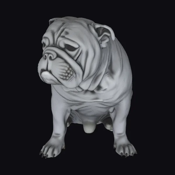 Wrinkled Bulldog Statue