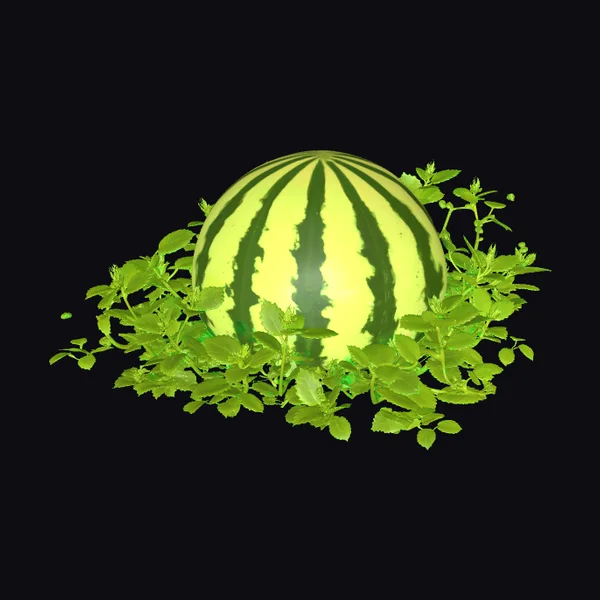 Watermelon with Green Vines