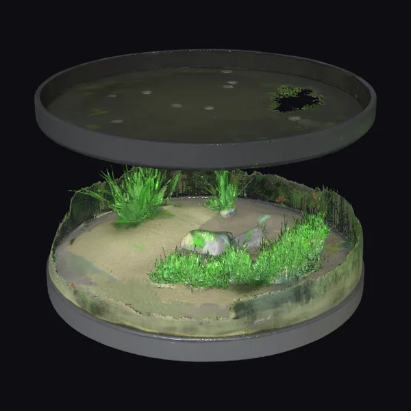 Huge Circle Fish Tank