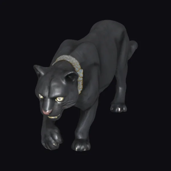 Black Panther with Collar