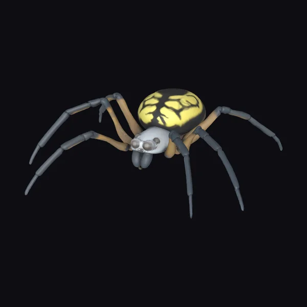 Yellow Backed Spider