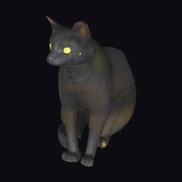 Black Domestic Shorthair Cat