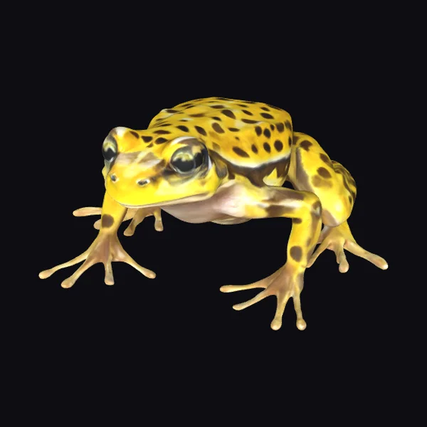 Yellow Spotted Amphibian