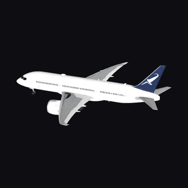 Widebody Twin Engine Airliner