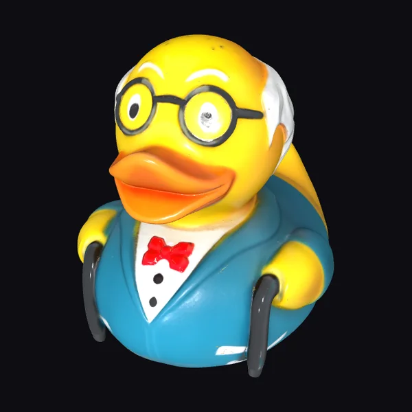 Rubber Duck Professor
