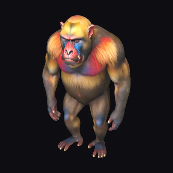 Mandrill Ape Hybrid