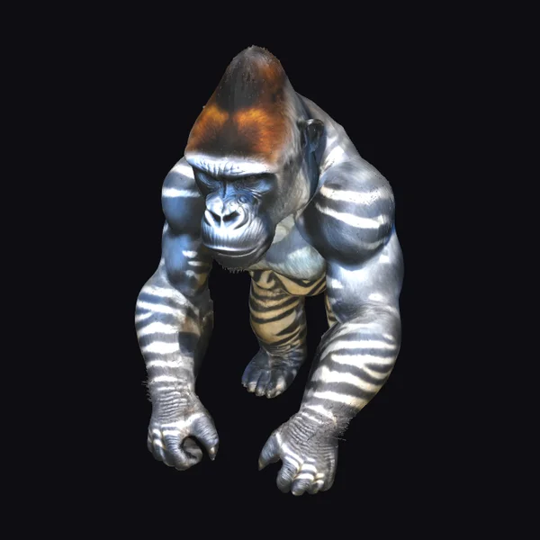 Zebra Skin Gorilla
