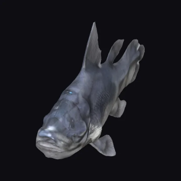 Ancient Fish Creature
