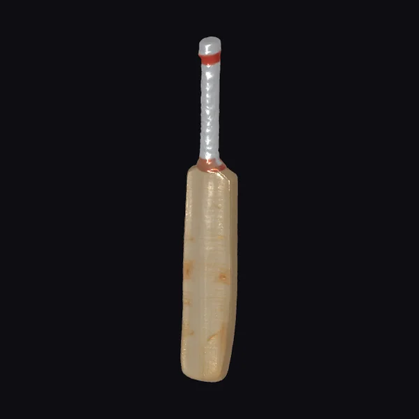 Cricket Bat