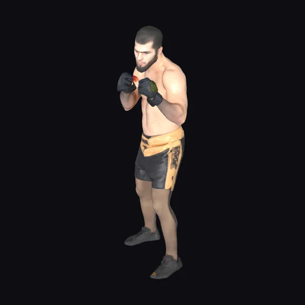 Fighter in Guard Stance