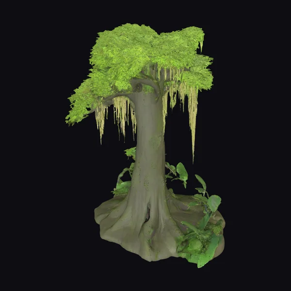 Mossy Tropical Rainforest Tree