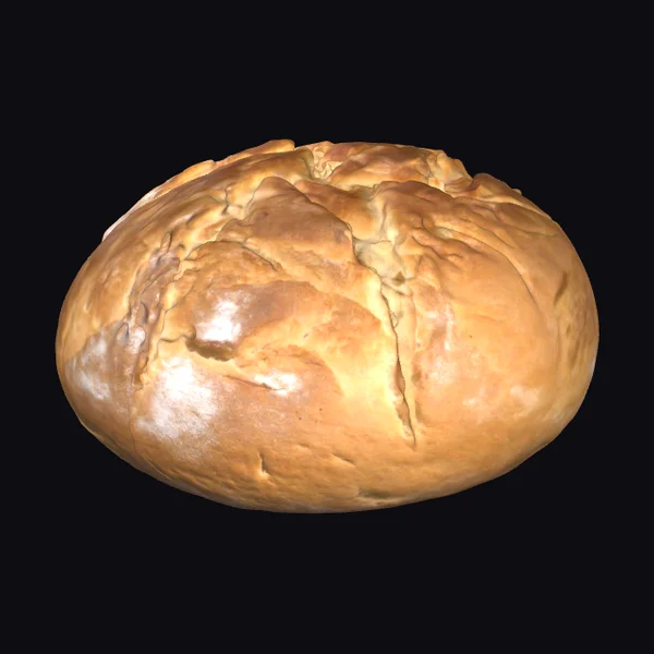 Ancient Pompeii Bread