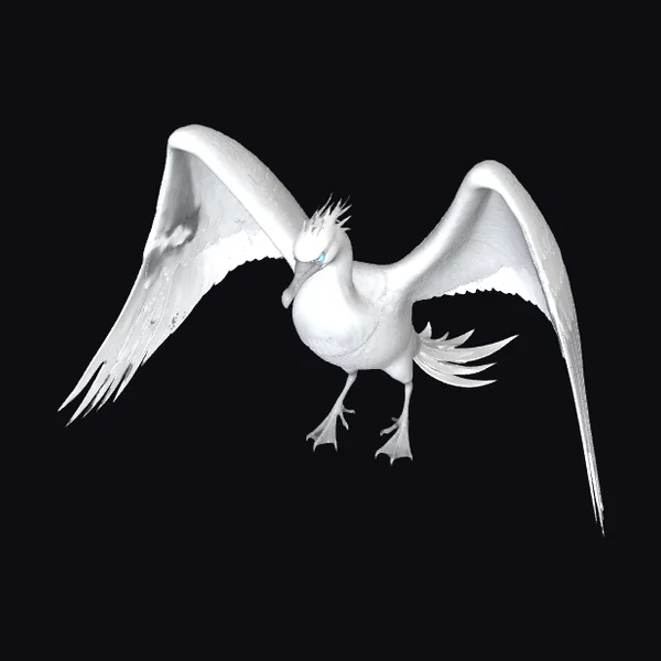 White Winged Gull Bird