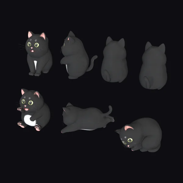 Black Cat Poses