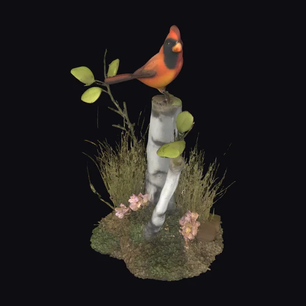 Cardinal on Birch Stump