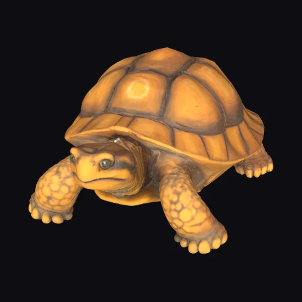 Wood Carved Tortoise Figurine