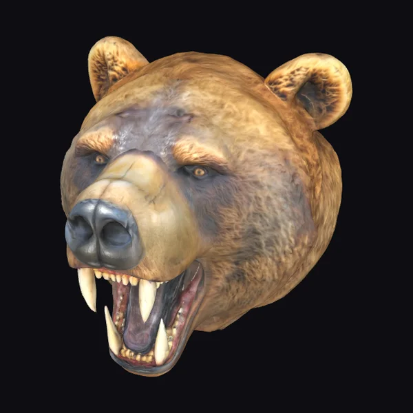Bear Head with Teeth