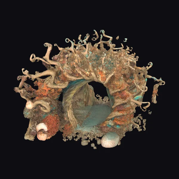 Underwater Coral Archway