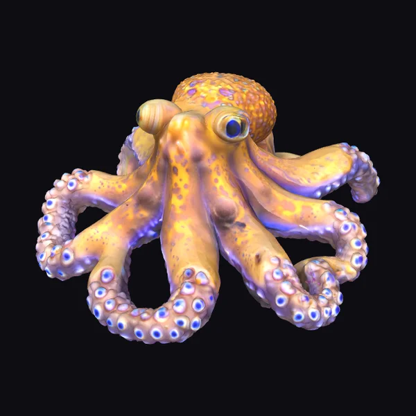 Blue-Ringed Octopus Alert