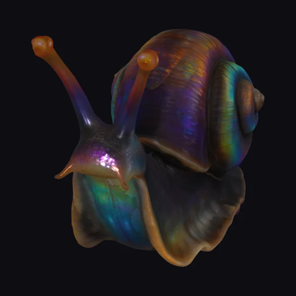 Rainbow Shell Snail
