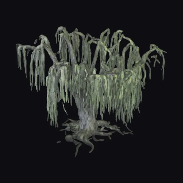 Mossy Swamp Tree