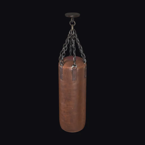 Brown Leather Punching Bag
