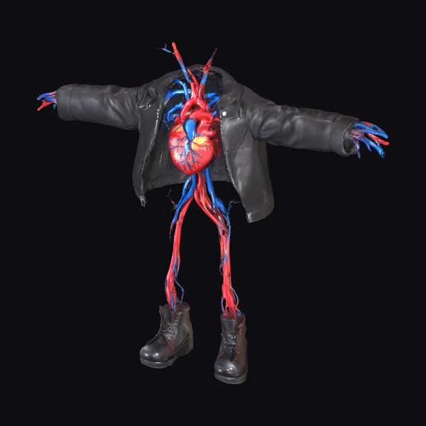 Anatomical Figure with Jacket