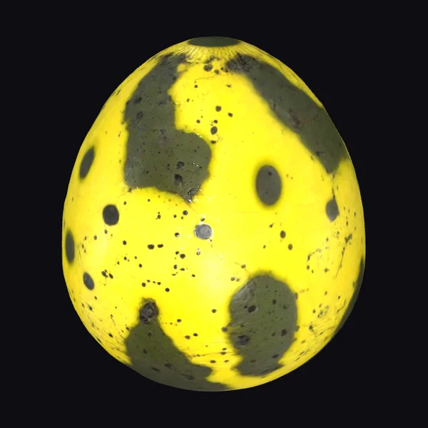Yellow Spotted Cave Egg