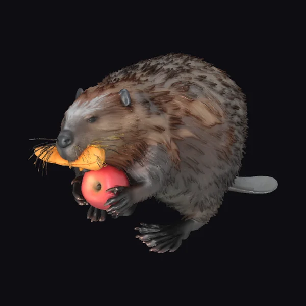 Beaver Holding Food