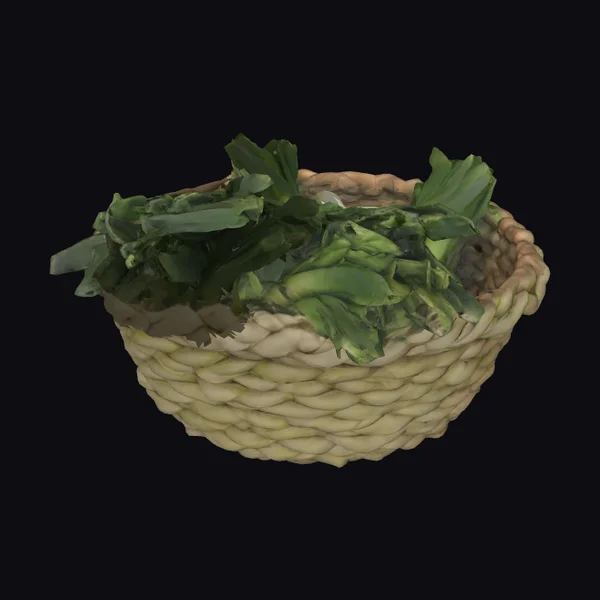Woven Basket of Leeks