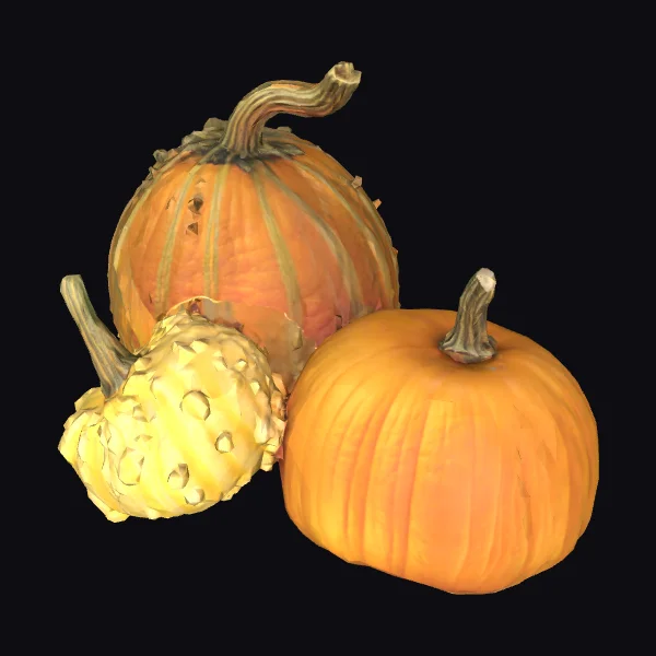 Autumn Pumpkin Trio