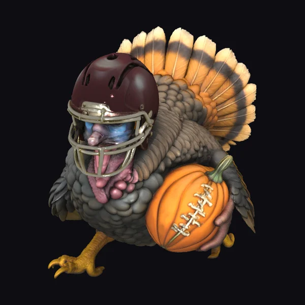 Turkey in Football Gear