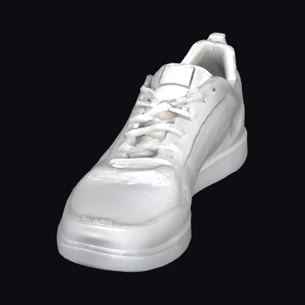 White Sports Shoe