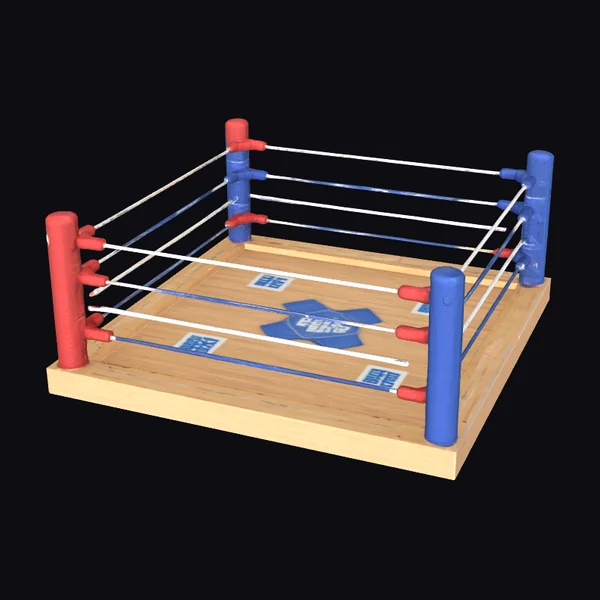 Boxing Ring Setup