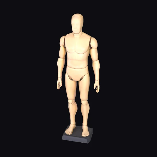 Articulated Male Mannequin