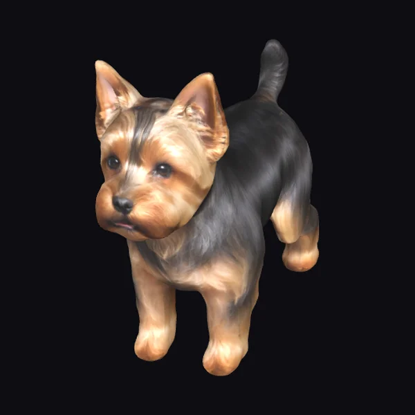 Yorkshire Terrier Dog
