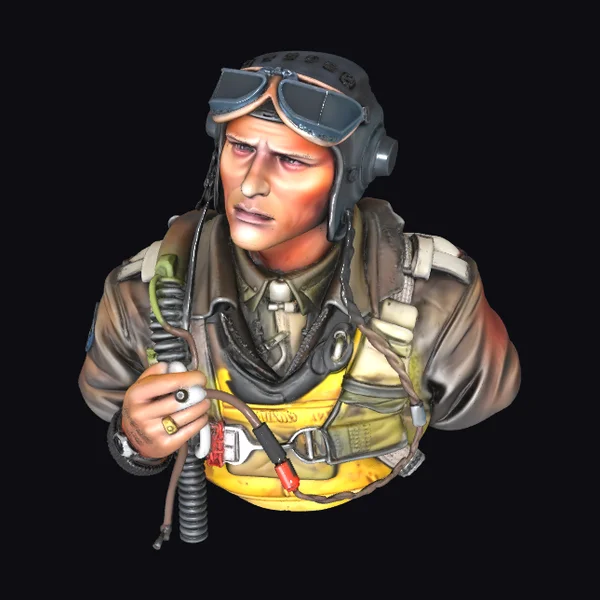 WWII Pilot Bust