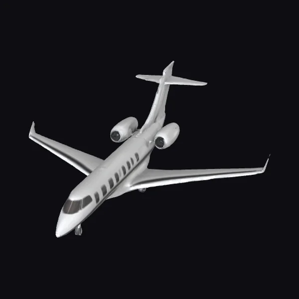 Silver Business Jet